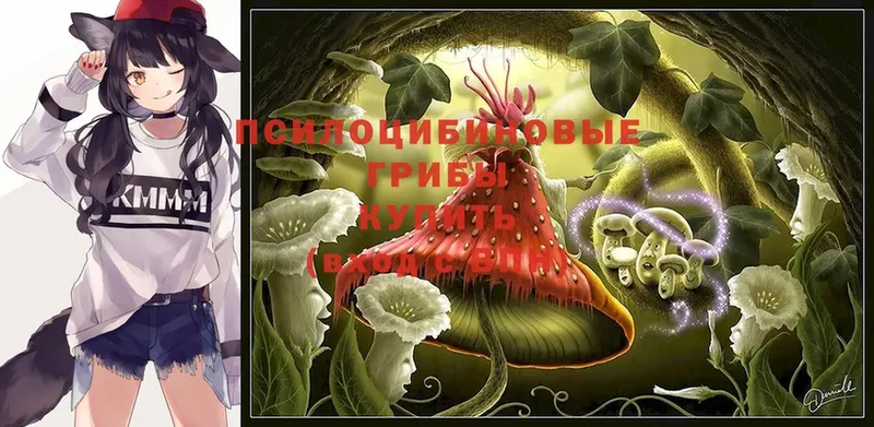 Псилоцибиновые грибы Magic Shrooms  купить наркоту  mega рабочий сайт  Бабушкин 